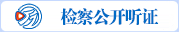 检察公开听证