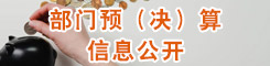 部门预（决）算信息公开