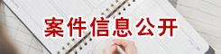 案件信息公开